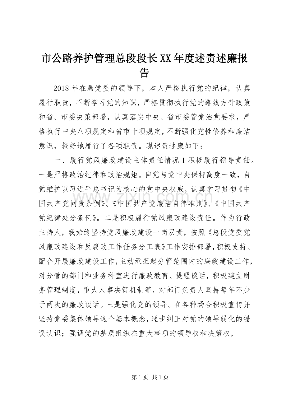 市公路养护管理总段段长XX年度述责述廉报告.docx_第1页