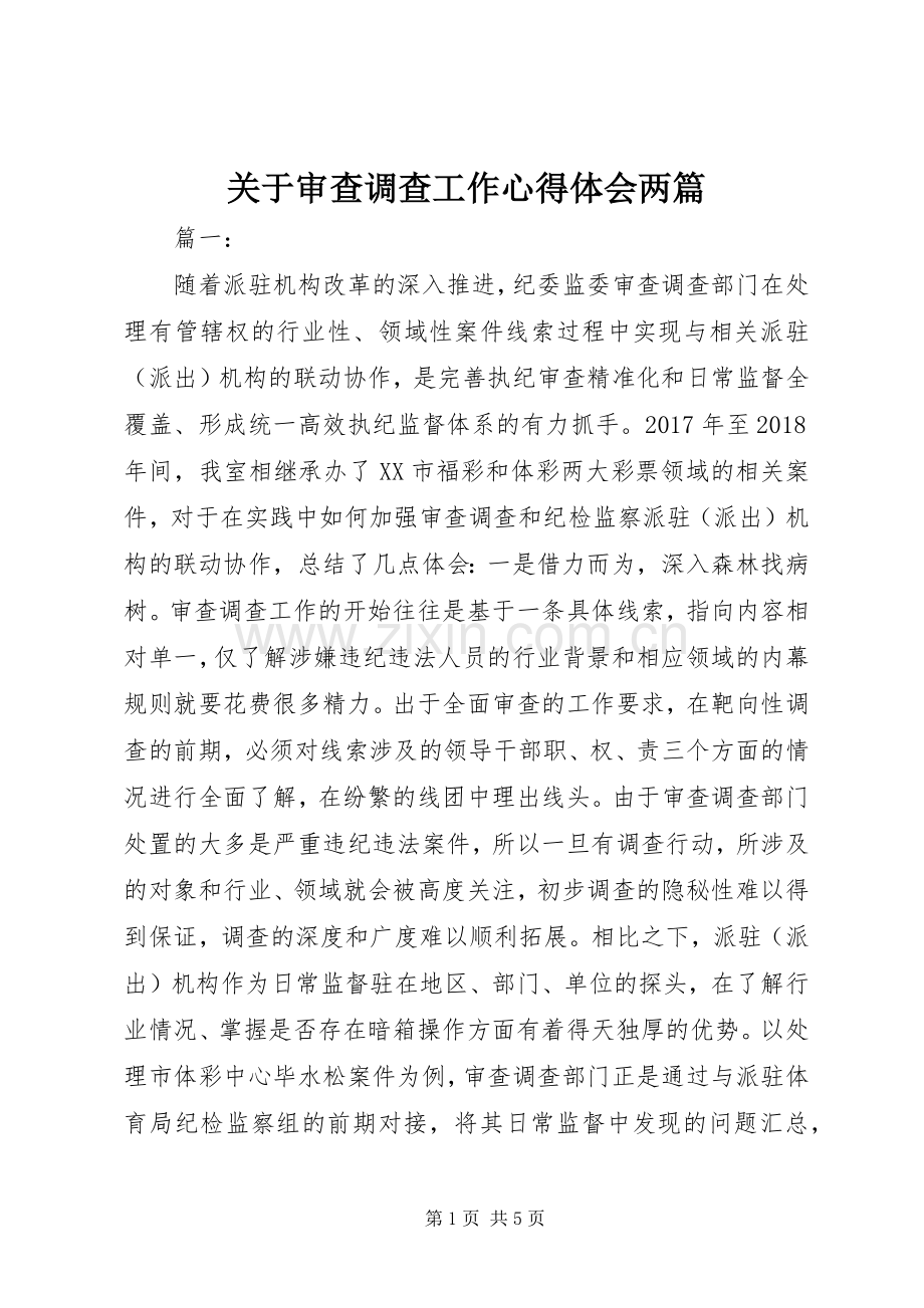 关于审查调查工作心得体会两篇.docx_第1页