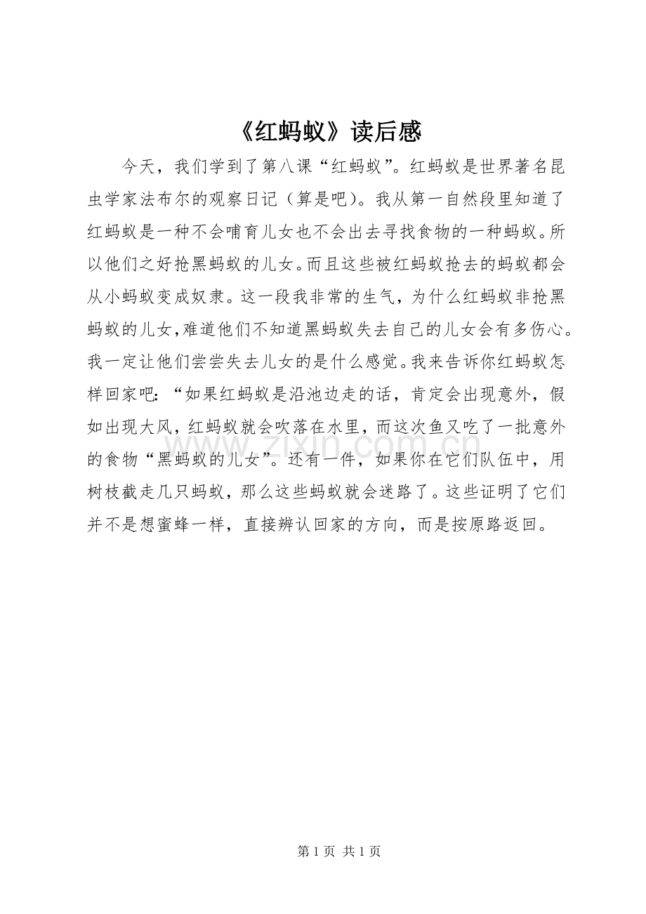 《红蚂蚁》读后感.docx_第1页