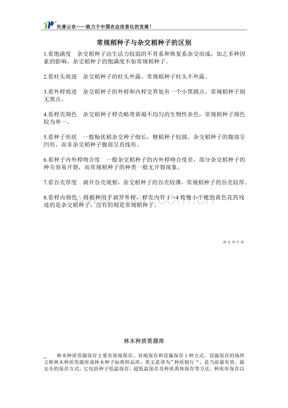 常规稻种子与杂交稻种子的区别.doc_第1页