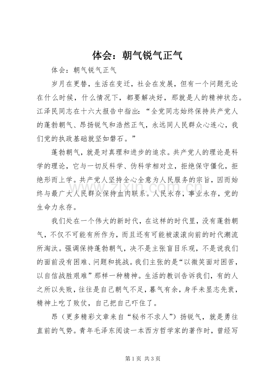 体会：朝气锐气正气.docx_第1页