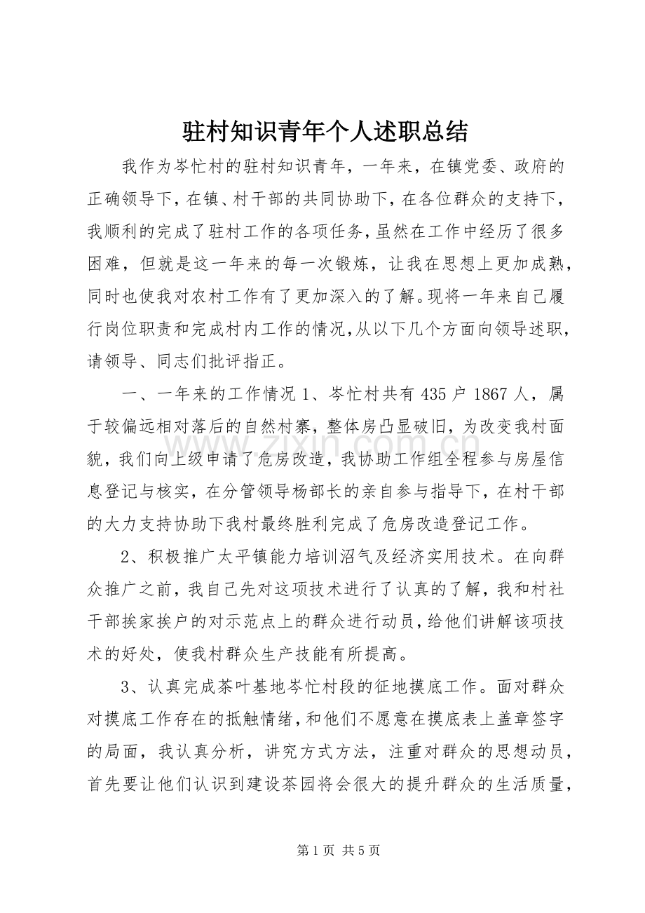 驻村知识青年个人述职总结.docx_第1页