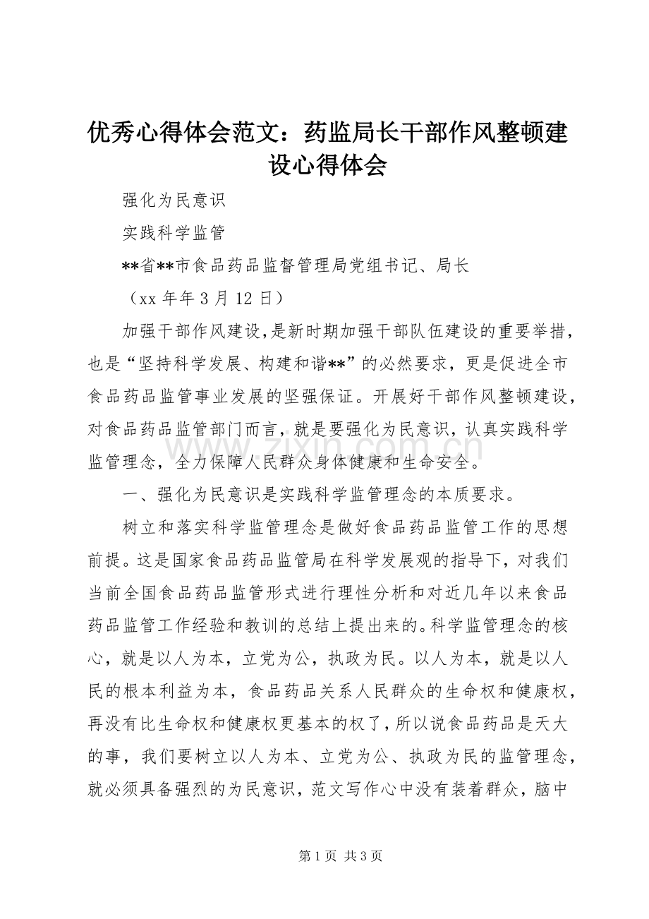 优秀心得体会范文：药监局长干部作风整顿建设心得体会.docx_第1页