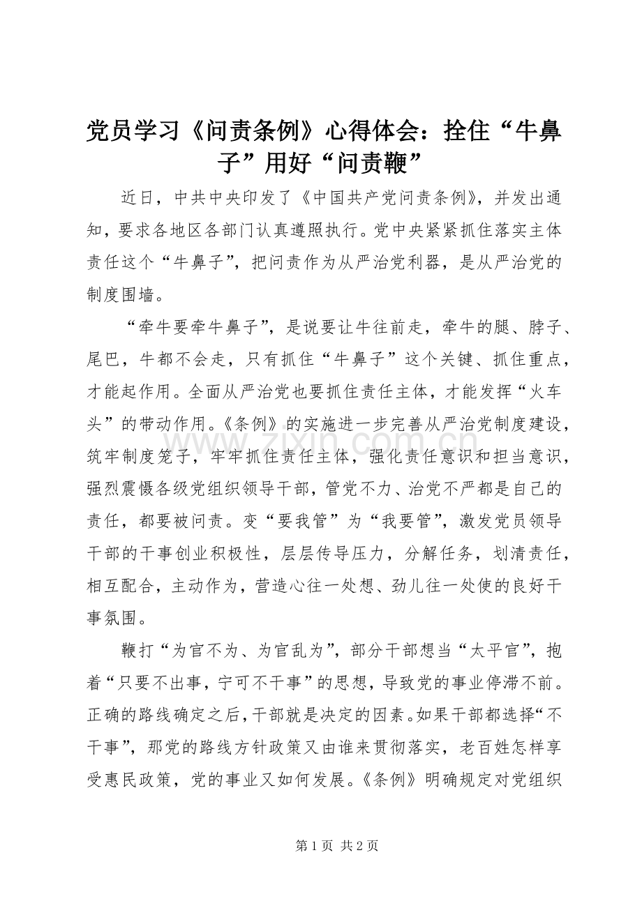 党员学习《问责条例》心得体会：拴住“牛鼻子”用好“问责鞭”.docx_第1页