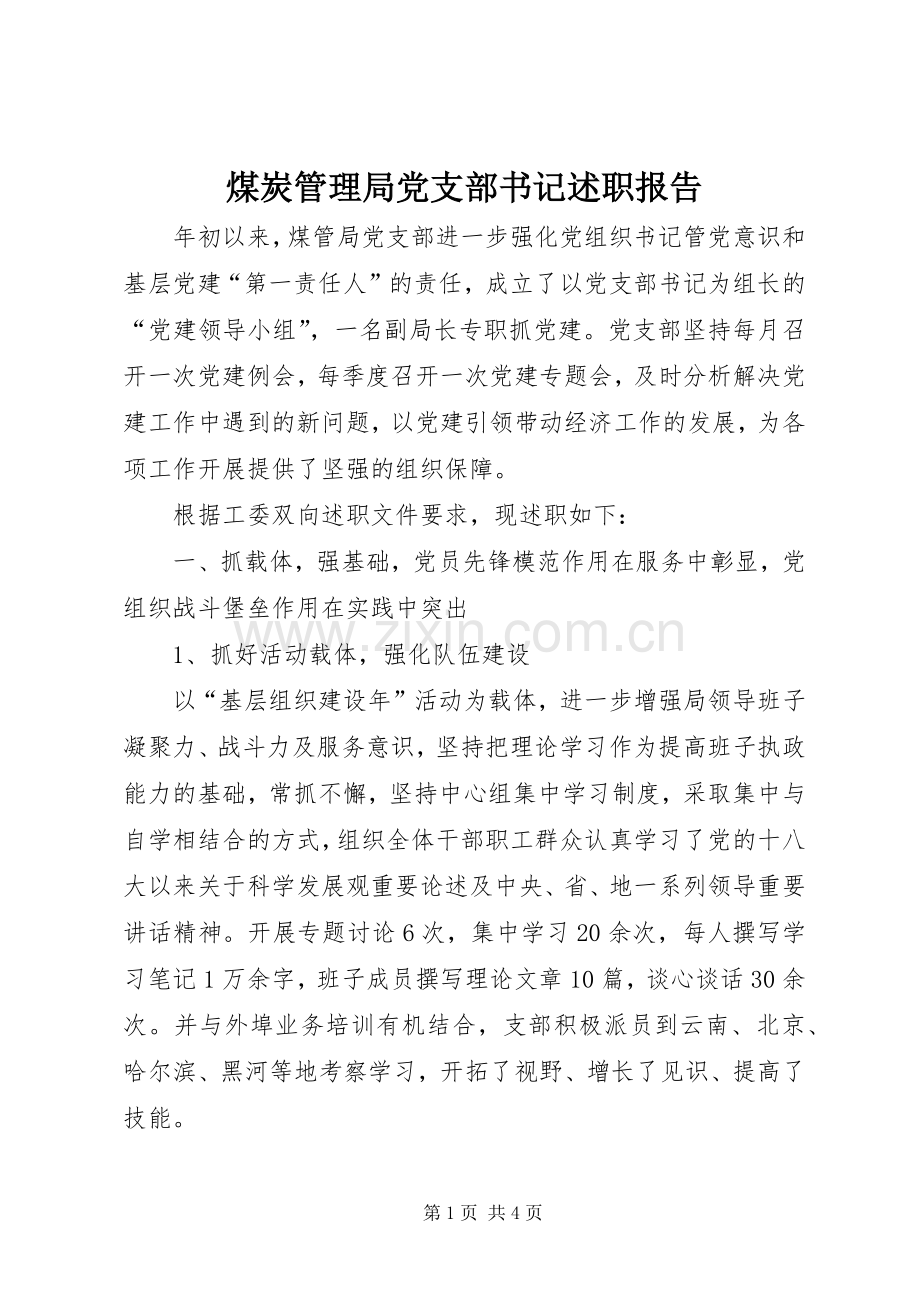 煤炭管理局党支部书记述职报告.docx_第1页