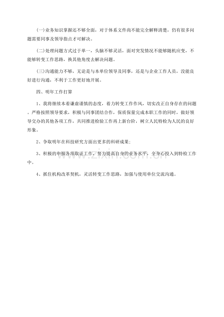 2020年特检个人工作总结范文.docx_第2页