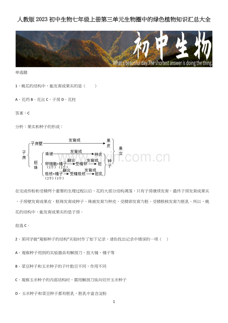人教版2023初中生物七年级上册第三单元生物圈中的绿色植物知识汇总大全.docx_第1页