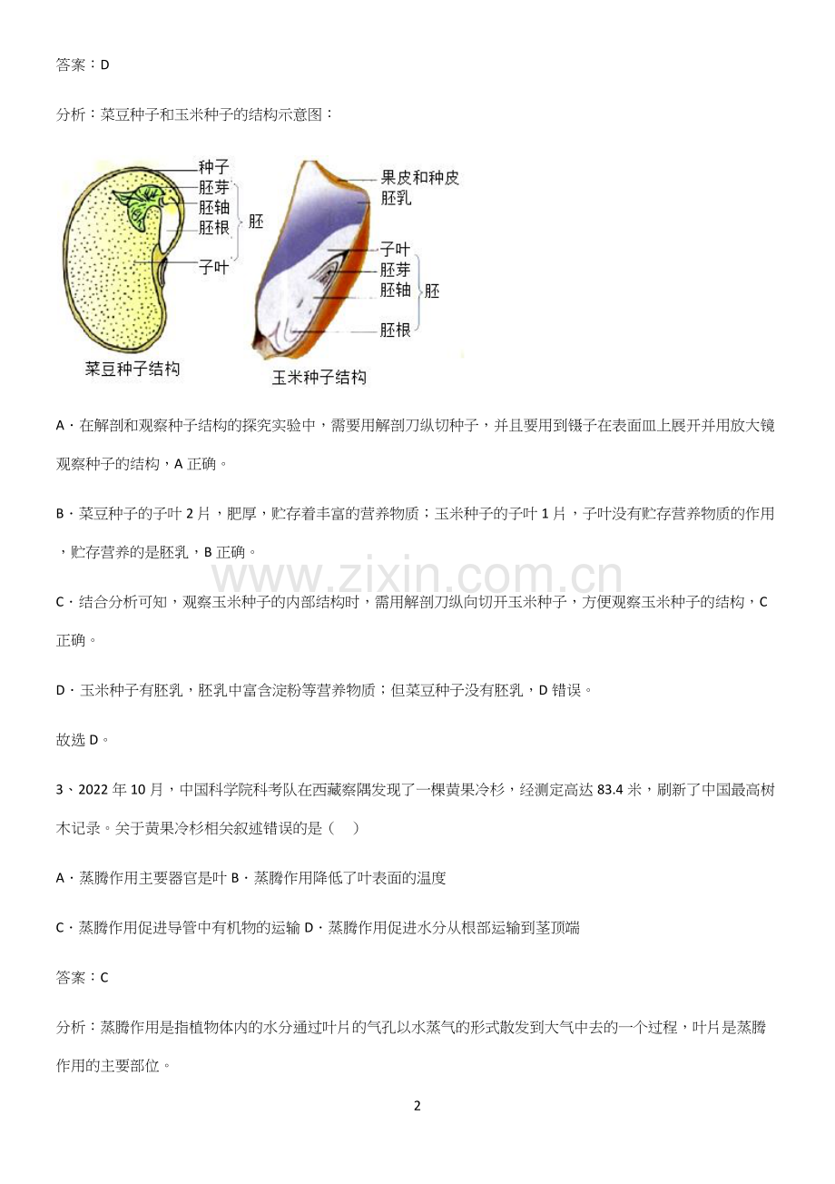 人教版2023初中生物七年级上册第三单元生物圈中的绿色植物知识汇总大全.docx_第2页