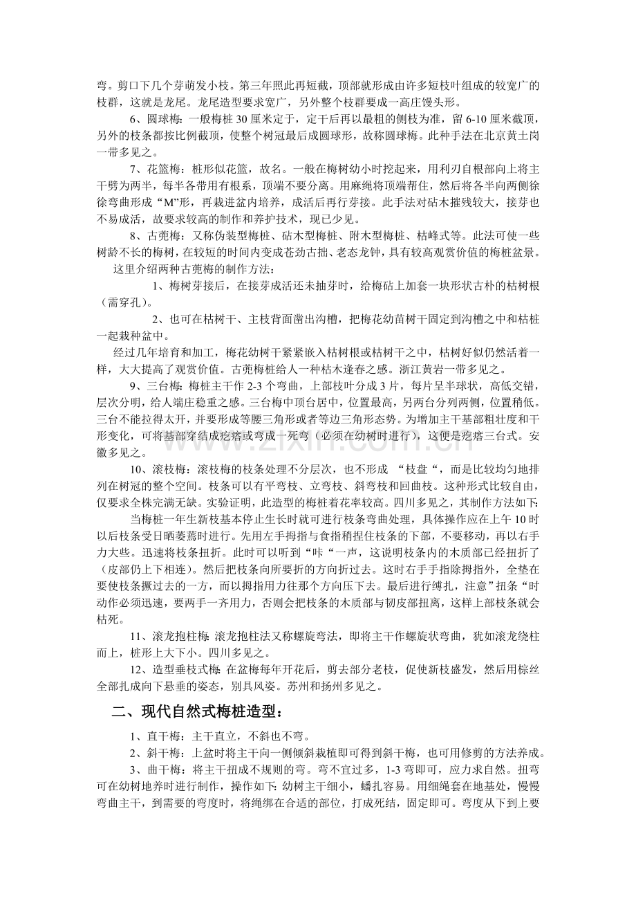 梅桩盆景设计.doc_第2页