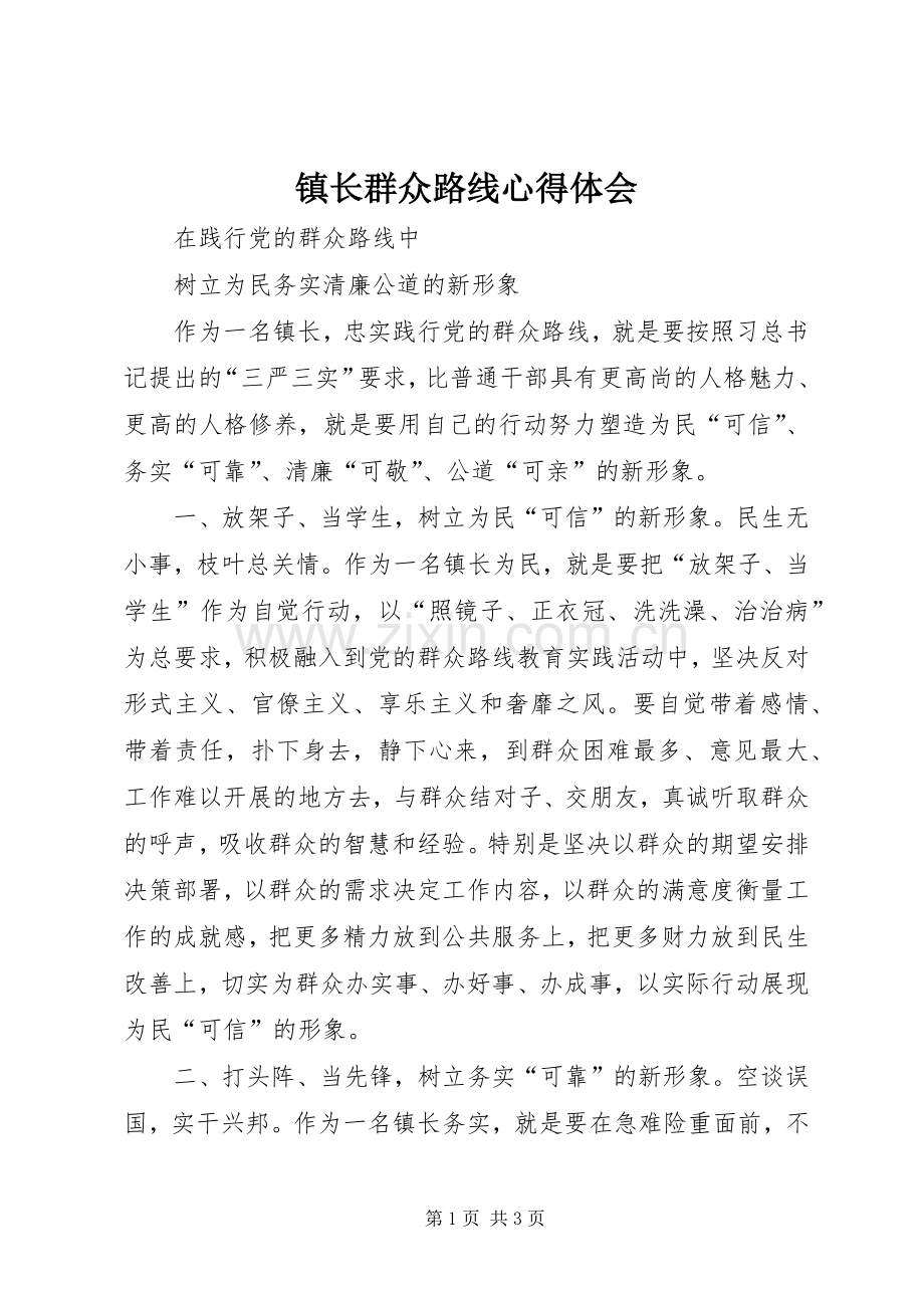 镇长群众路线心得体会.docx_第1页