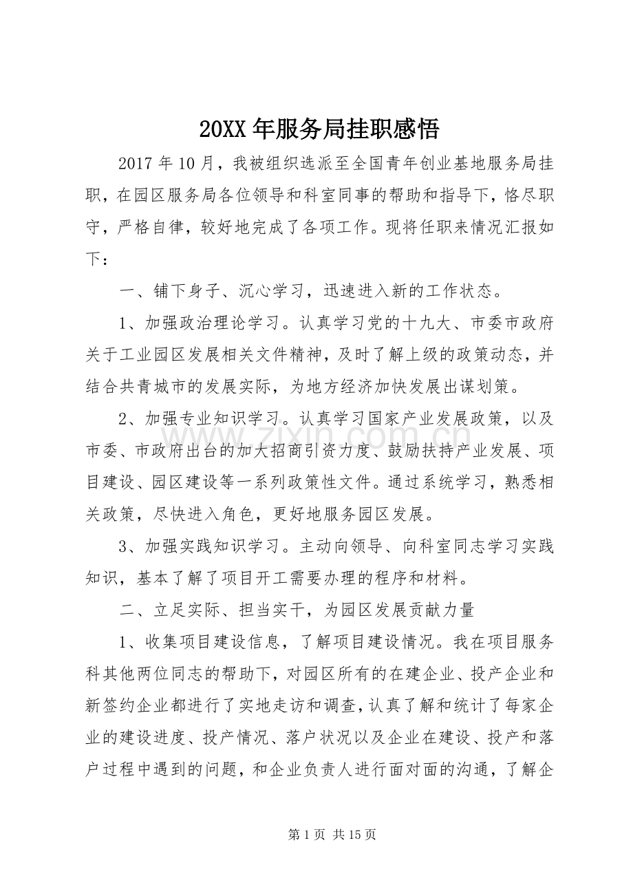 20XX年服务局挂职感悟.docx_第1页