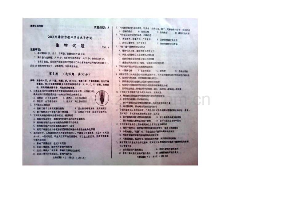 2013年潍坊市中考生物试题及答案.doc_第1页