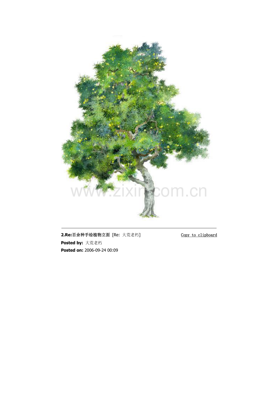 手绘植物立面图.doc_第2页