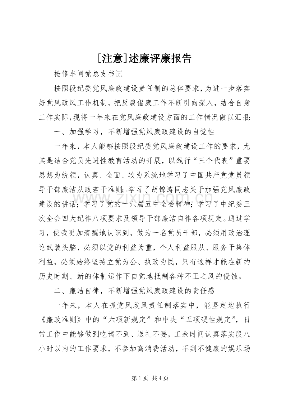 [注意]述廉评廉报告.docx_第1页
