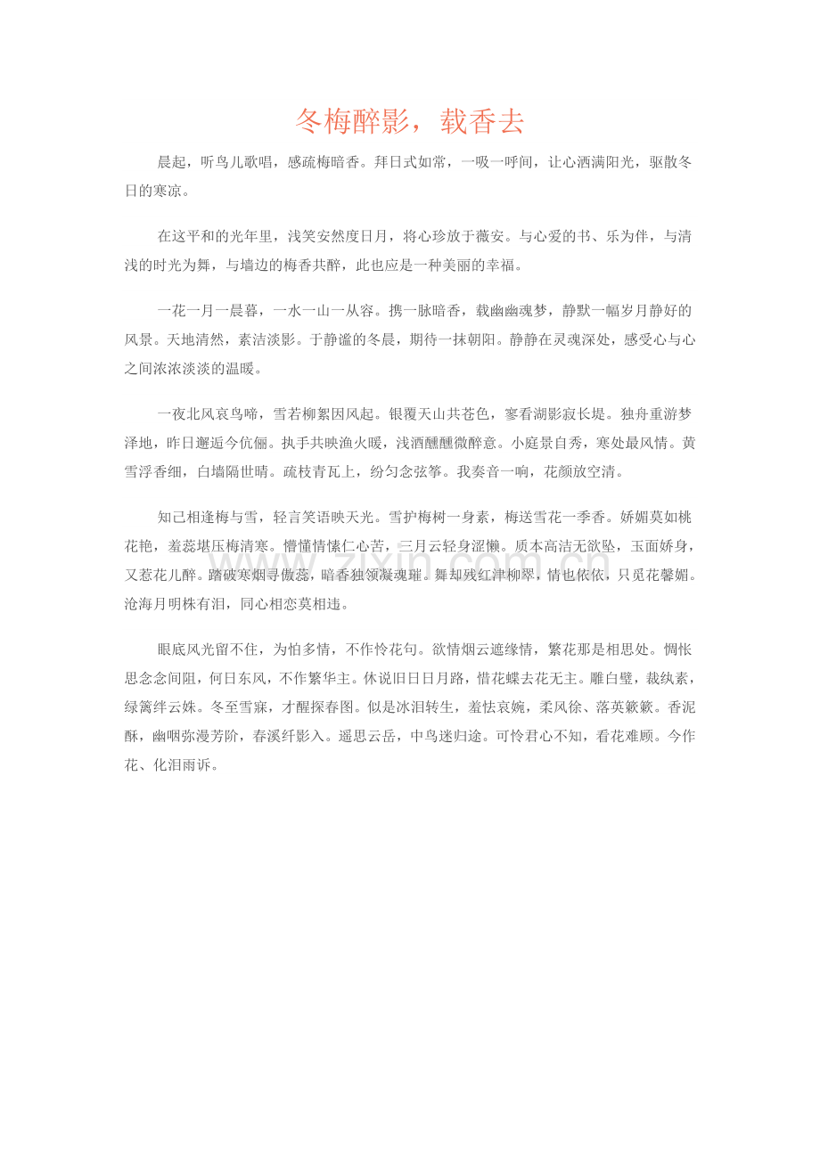 冬梅醉影.doc_第1页