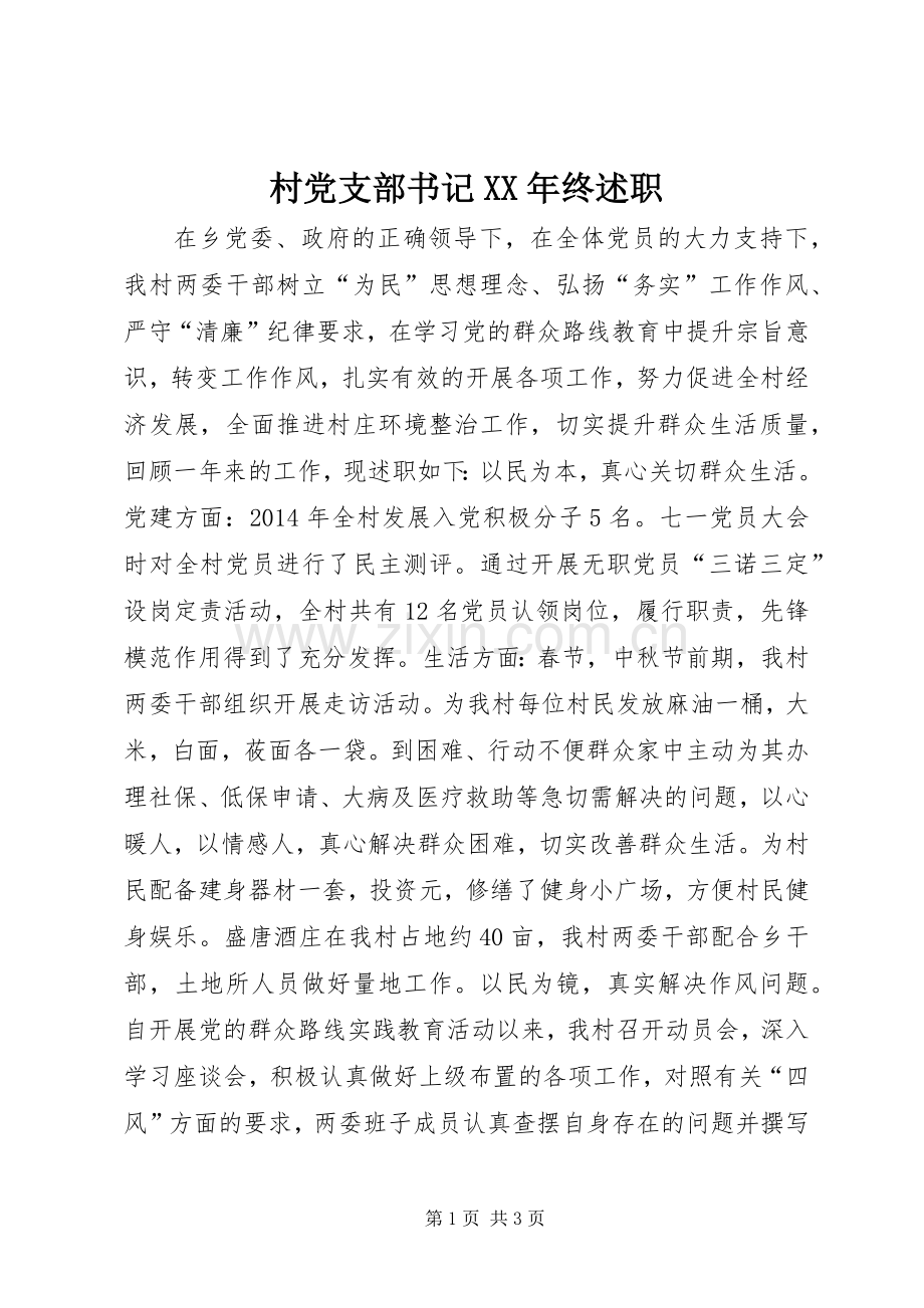 村党支部书记XX年终述职.docx_第1页