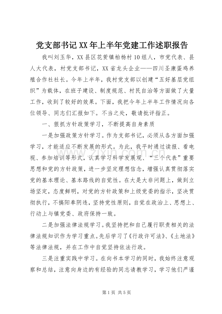 党支部书记XX年上半年党建工作述职报告.docx_第1页