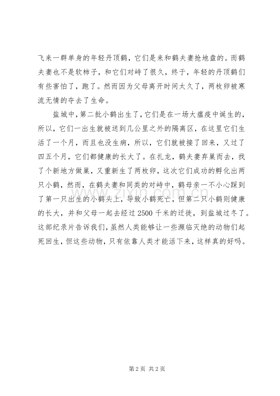 纪录片《丹顶鹤》观后感范文.docx_第2页