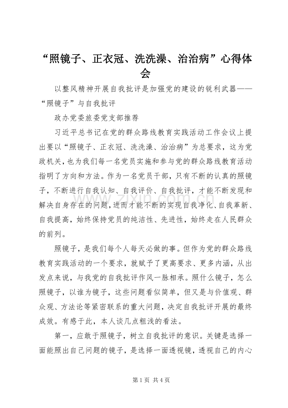 “照镜子、正衣冠、洗洗澡、治治病”心得体会.docx_第1页