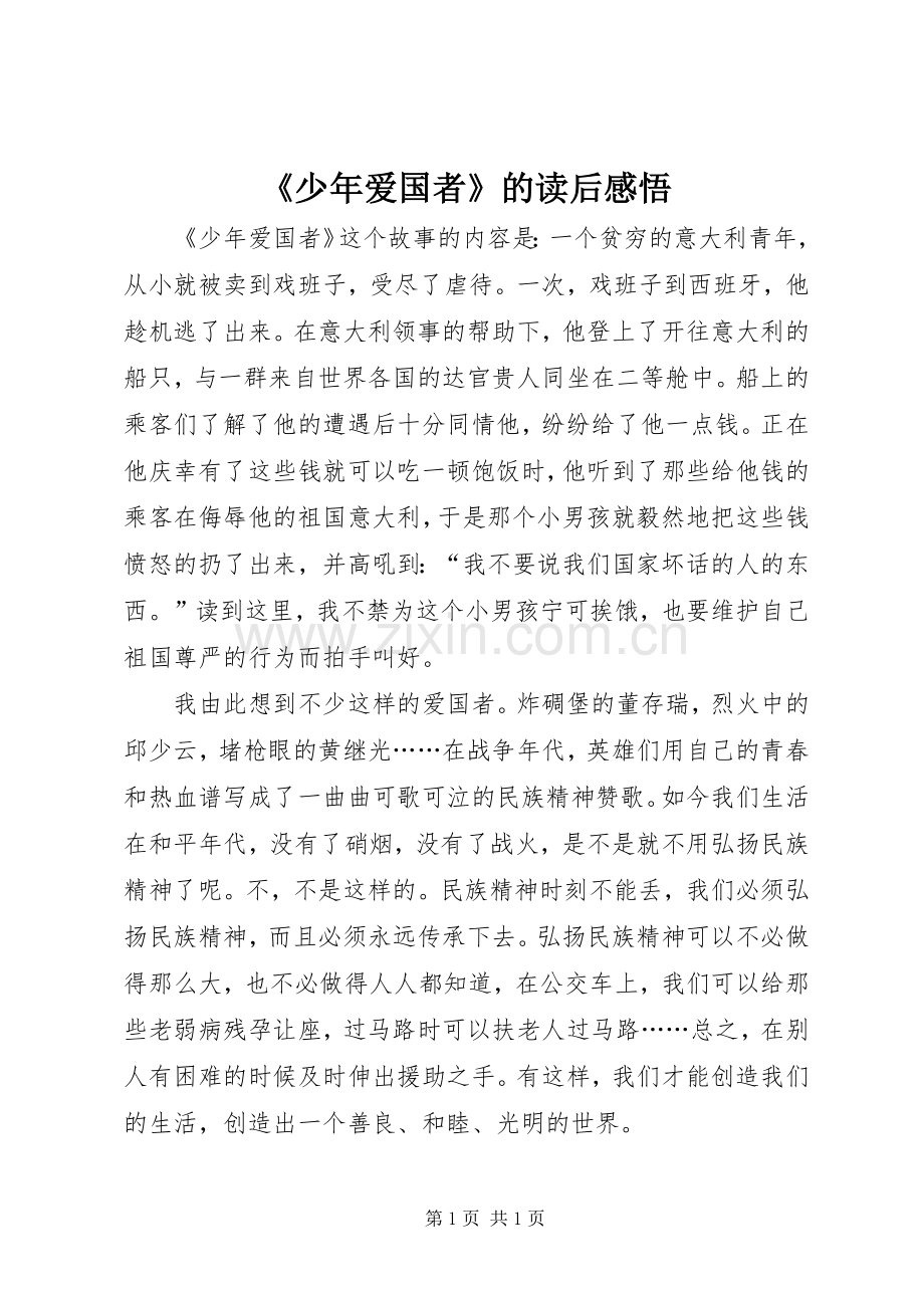 《少年爱国者》的读后感悟.docx_第1页