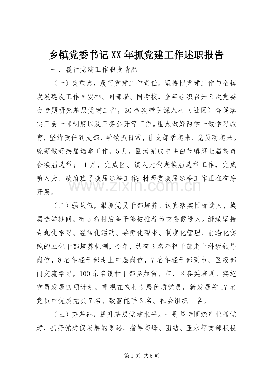 乡镇党委书记XX年抓党建工作述职报告.docx_第1页