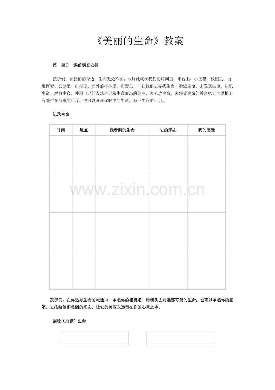 美丽的生命.docx_第1页