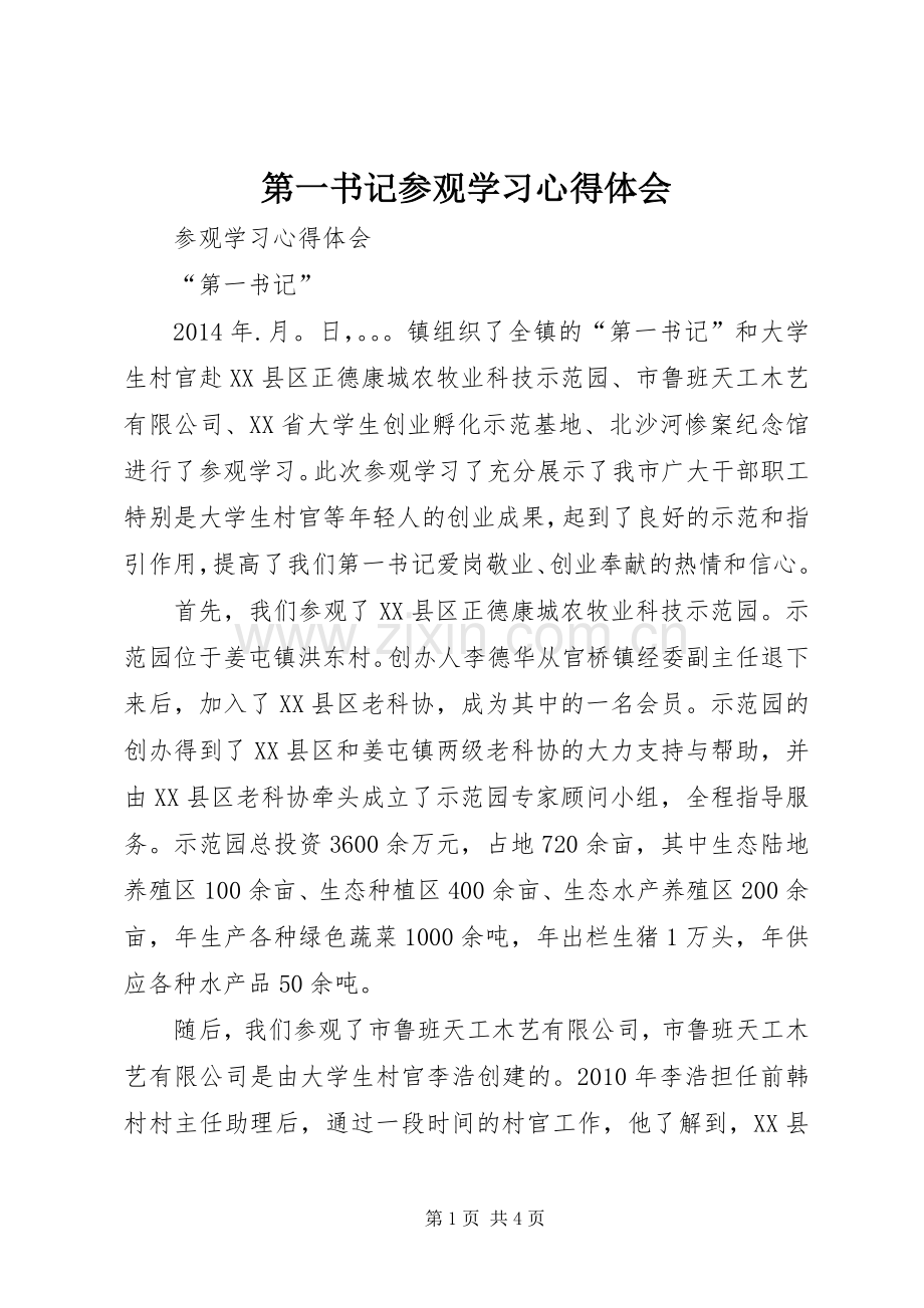 第一书记参观学习心得体会.docx_第1页