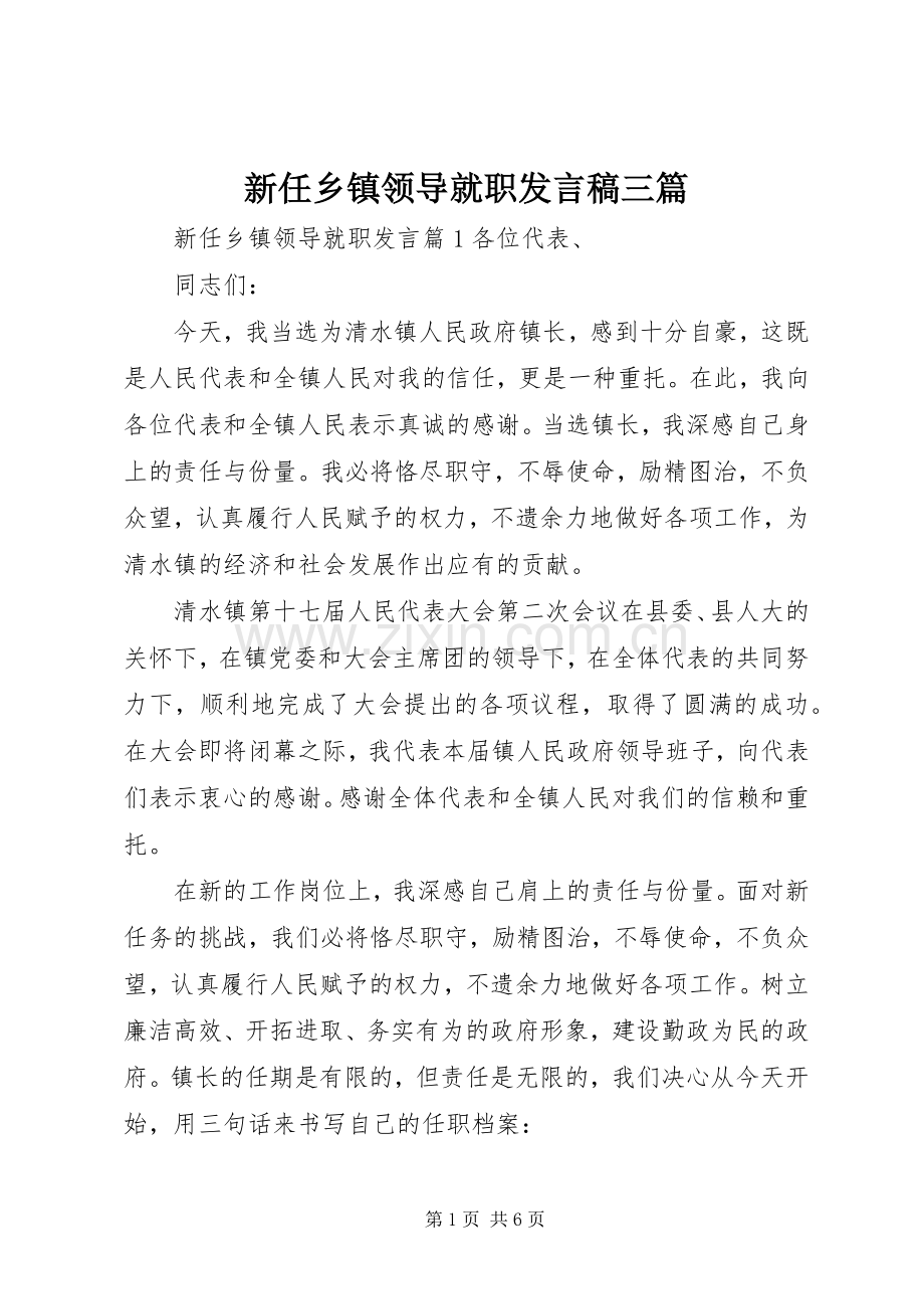 新任乡镇领导就职发言稿三篇.docx_第1页