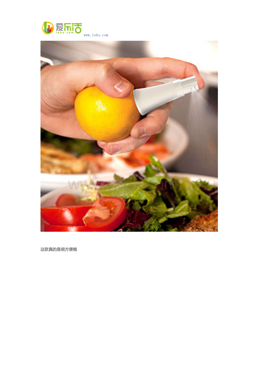 厨房好帮手 果汁料理喷雾剂.docx_第2页