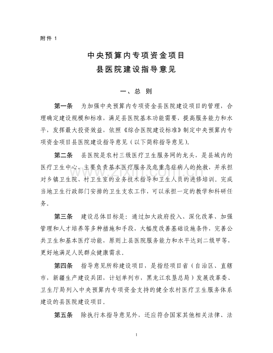 中央预算内专项资金项目县医院建设指导意见.doc_第1页
