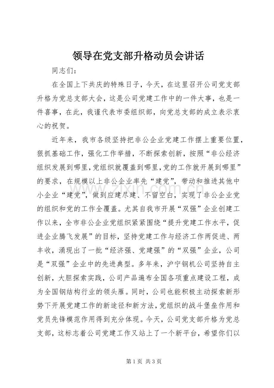 领导在党支部升格动员会讲话.docx_第1页
