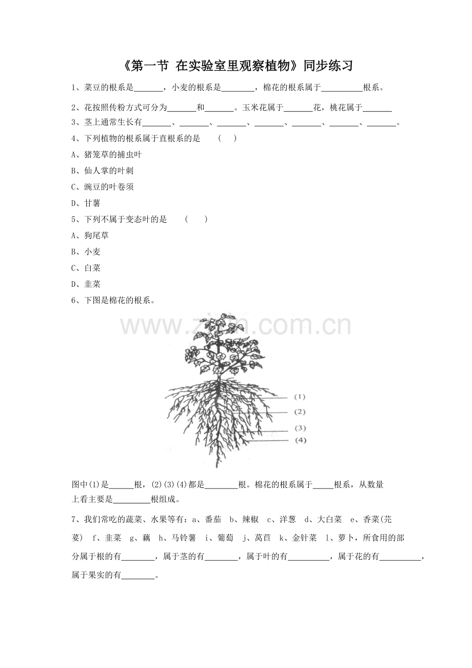 《第一节-在实验室里观察植物》同步练习2.doc_第1页