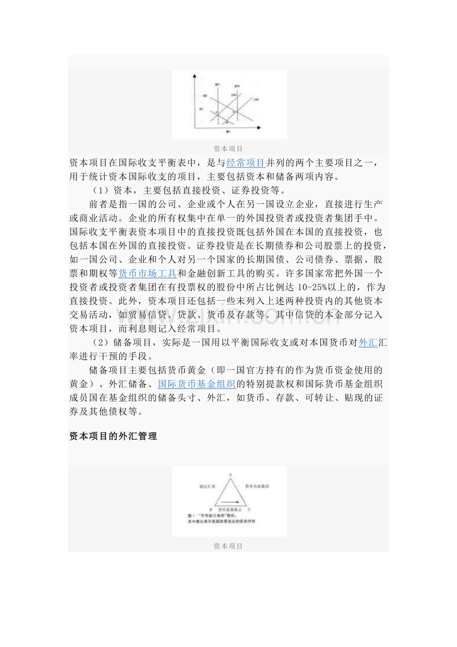 资本项目和经常项目.doc_第2页