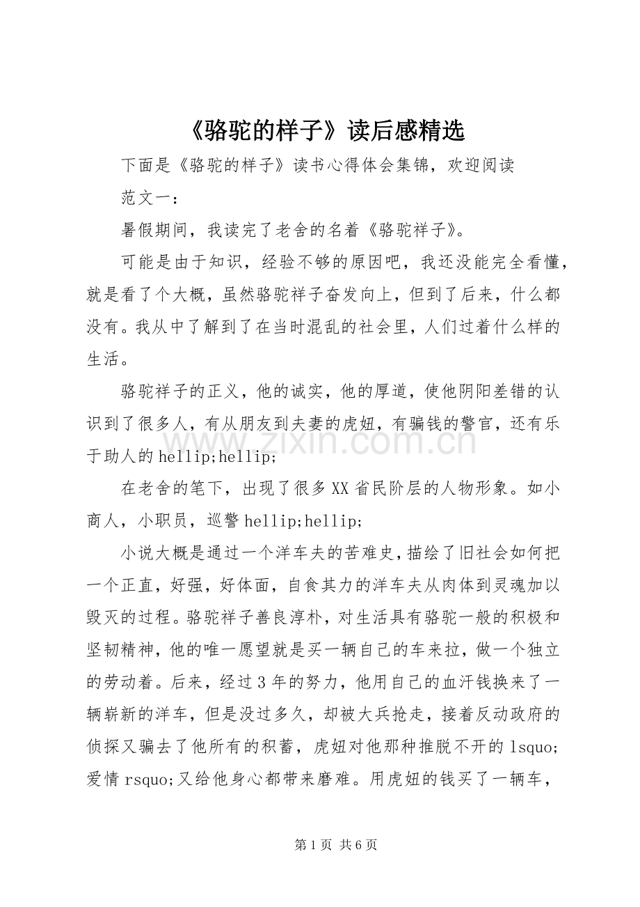 《骆驼的样子》读后感.docx_第1页