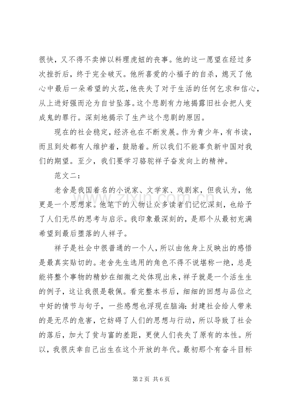 《骆驼的样子》读后感.docx_第2页