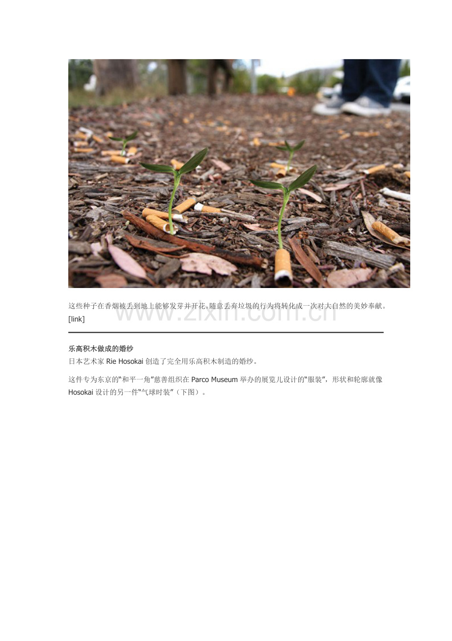 香烟种子 乐高积木婚纱 喷出来的家具.doc_第2页