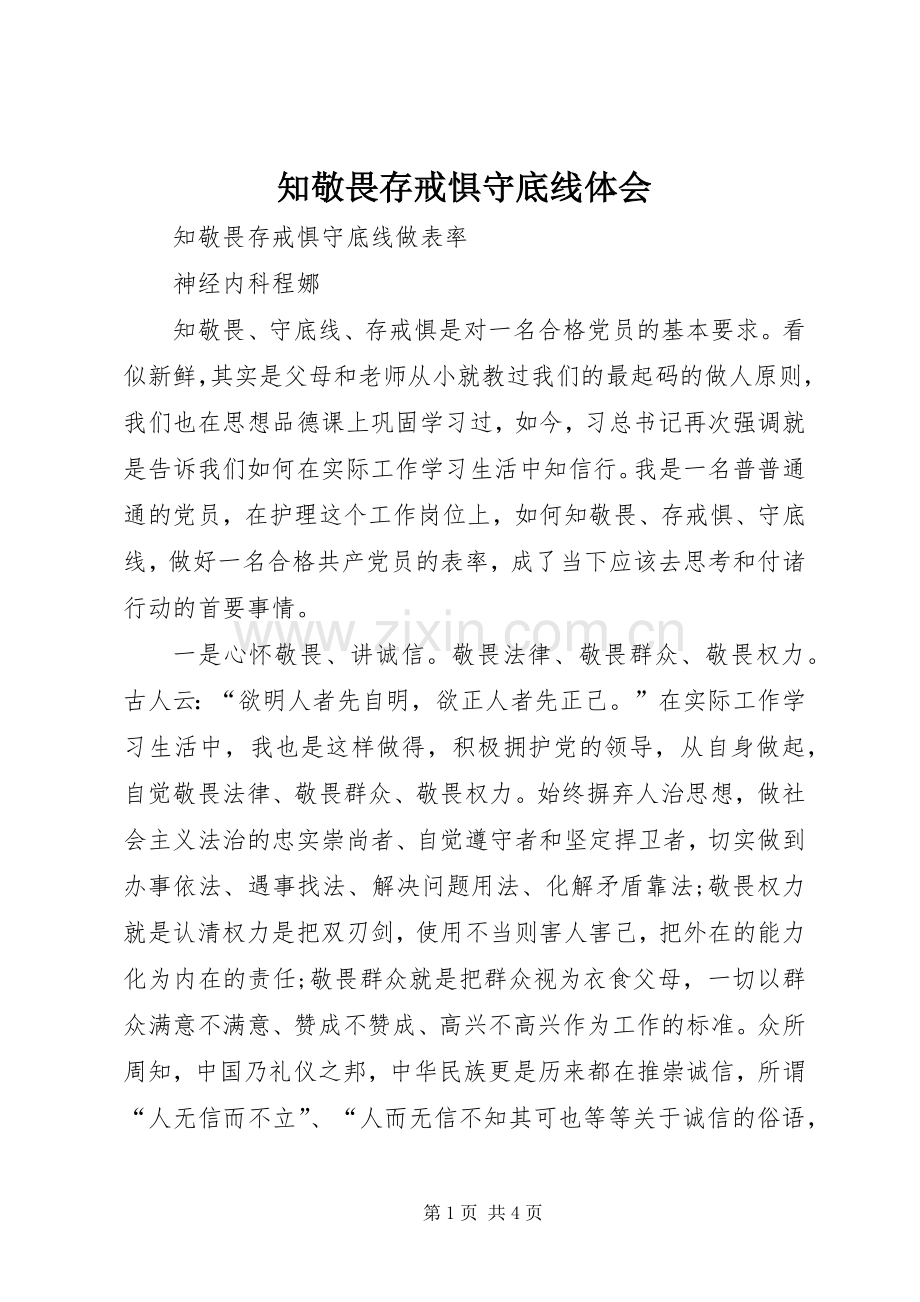 知敬畏存戒惧守底线体会.docx_第1页