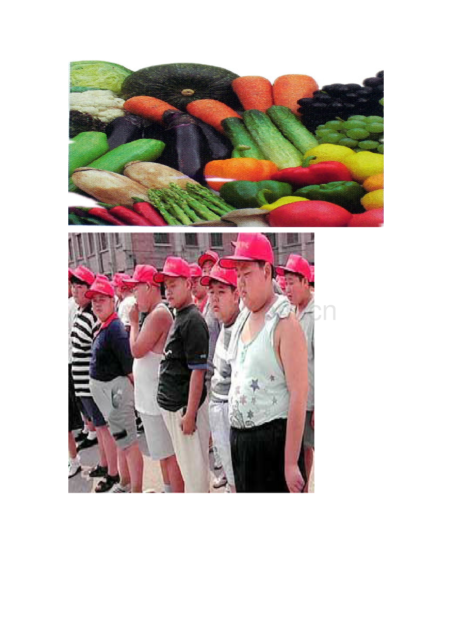 平衡的膳食.docx_第1页