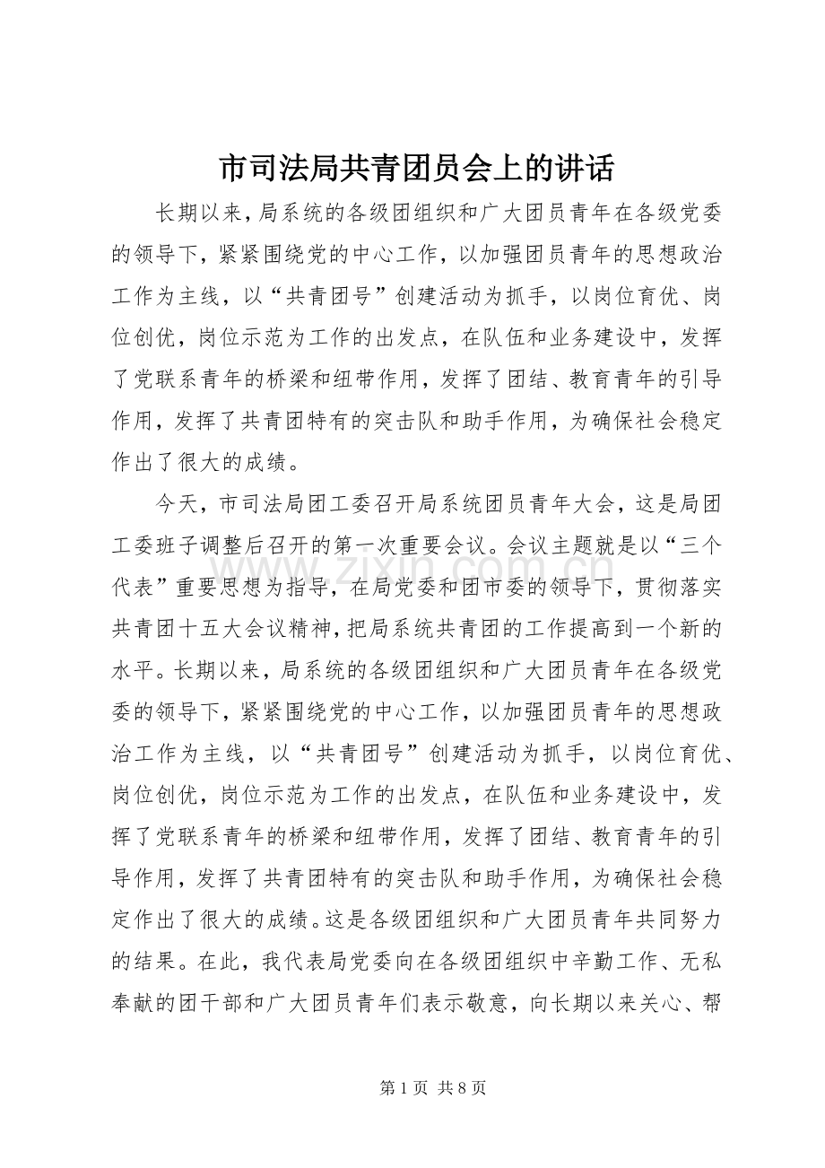 市司法局共青团员会上的讲话.docx_第1页