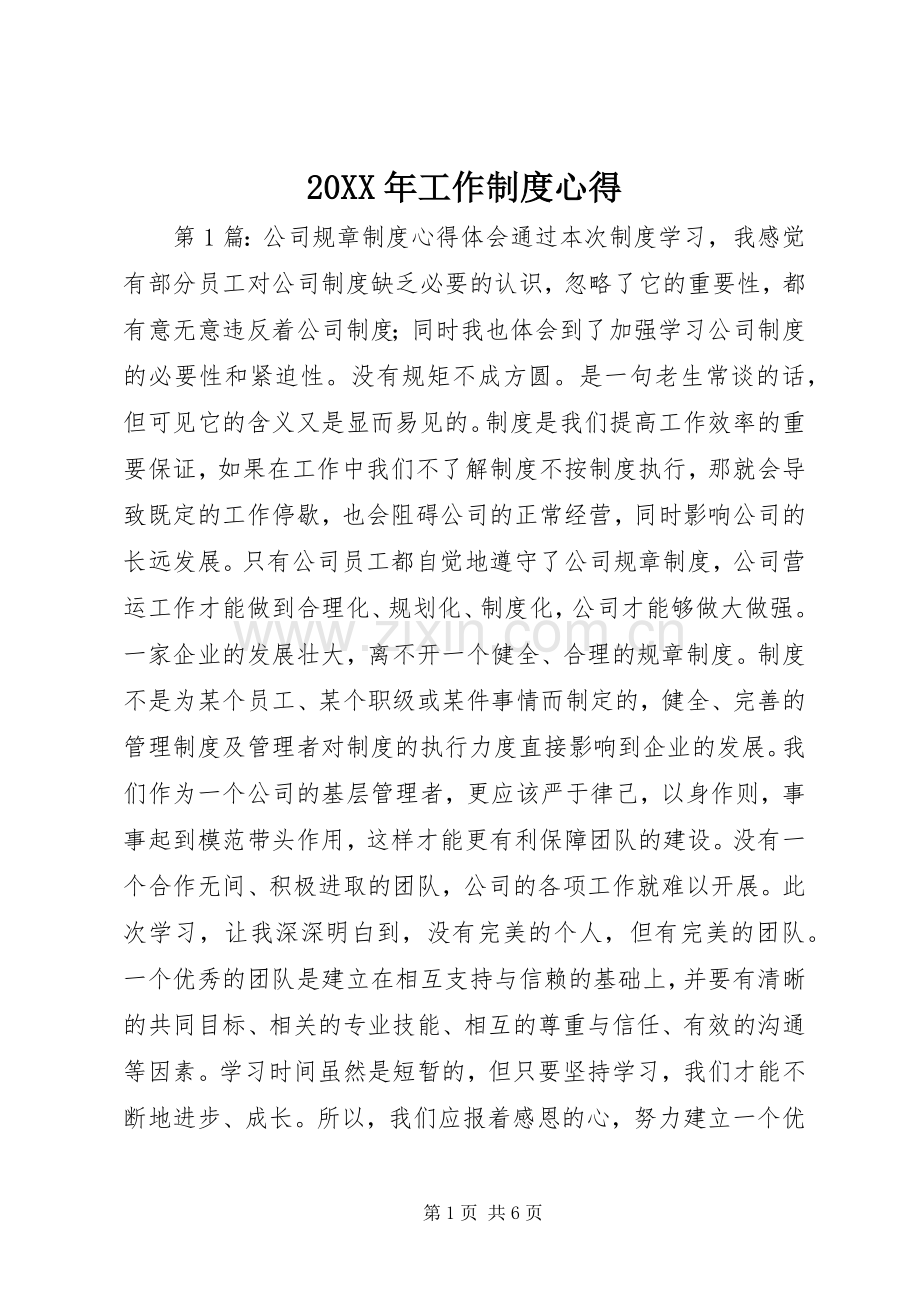 20XX年工作制度心得.docx_第1页