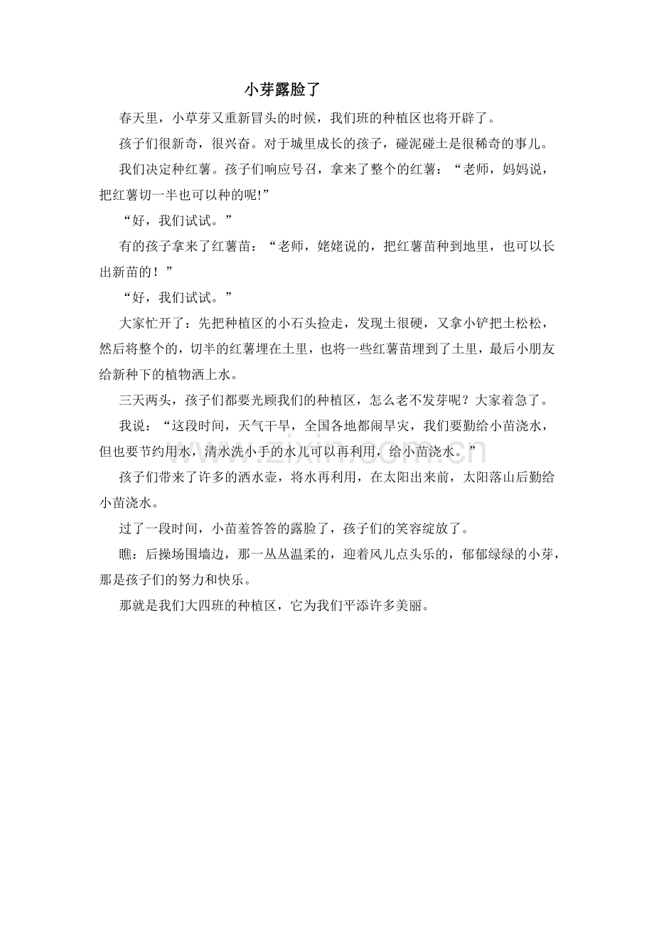 小芽露脸了.doc_第1页