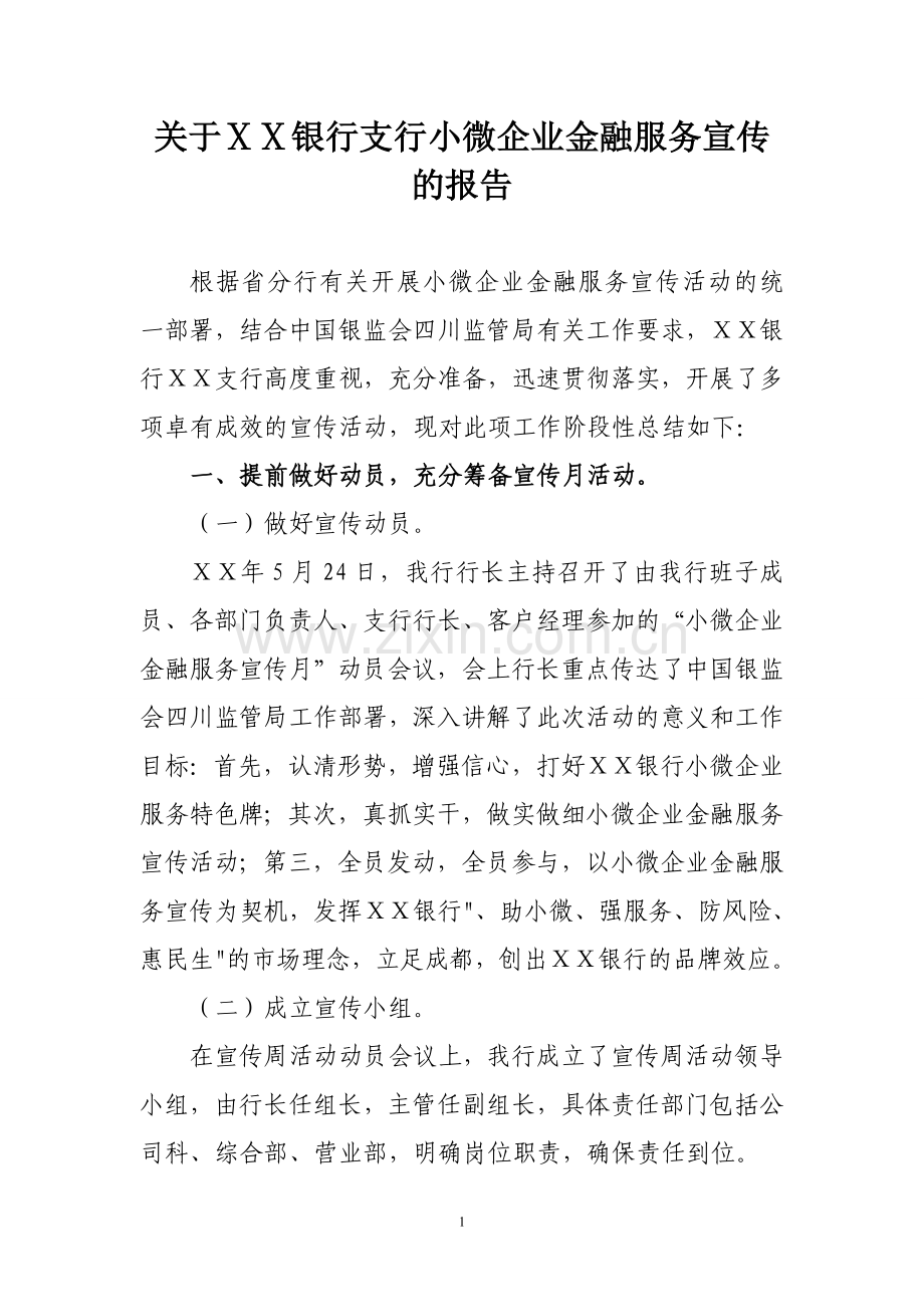 银行支行小微企业金融服务宣传的报告.doc_第1页