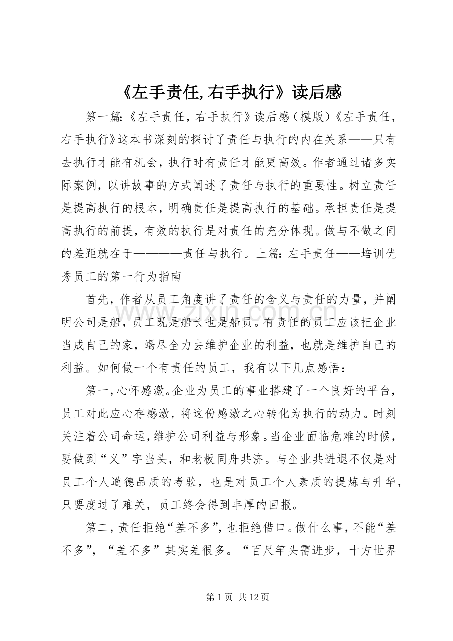 《左手责任,右手执行》读后感.docx_第1页