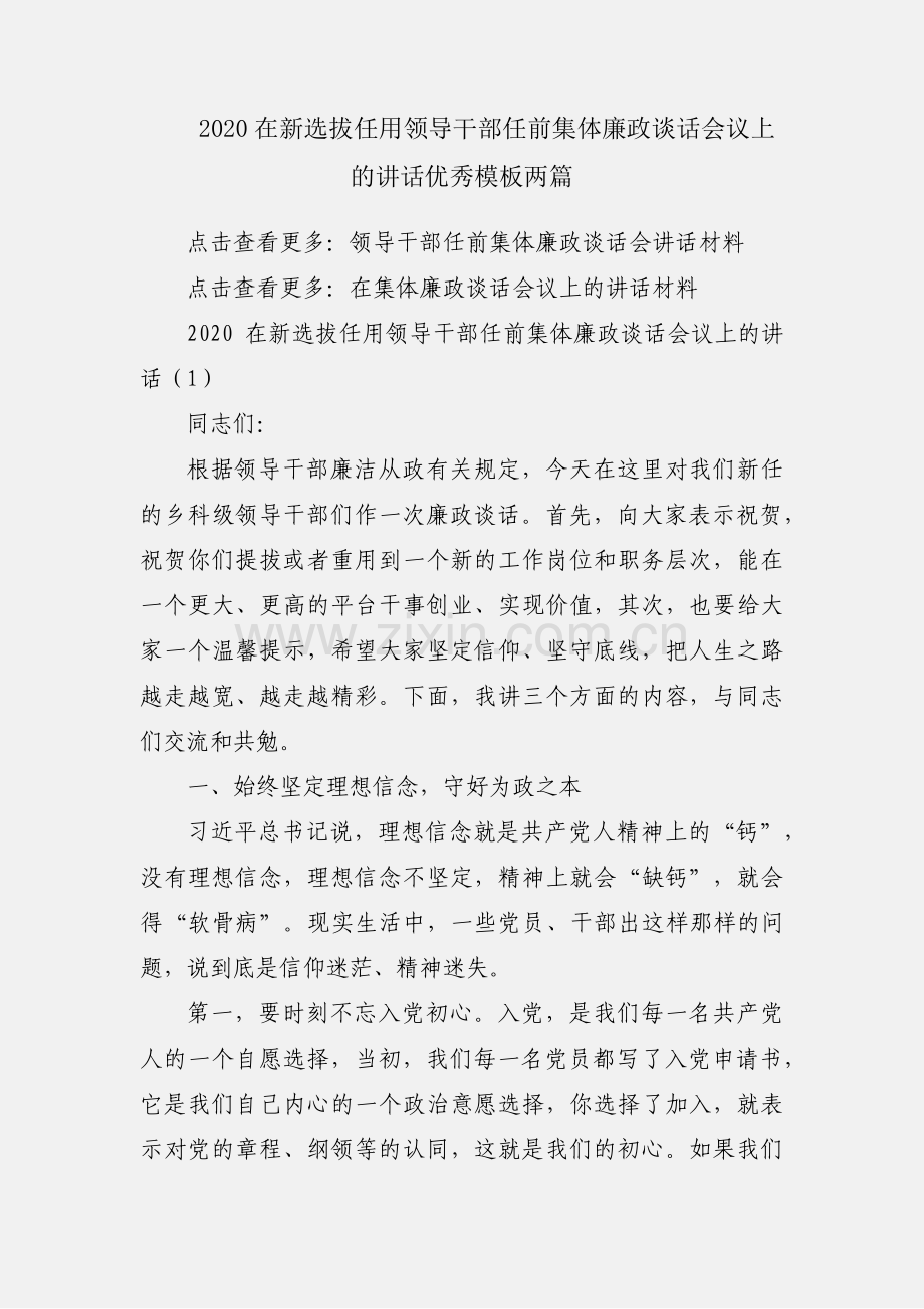 2020在新选拔任用领导干部任前集体廉政谈话会议上的讲话优秀模板两篇.docx_第1页