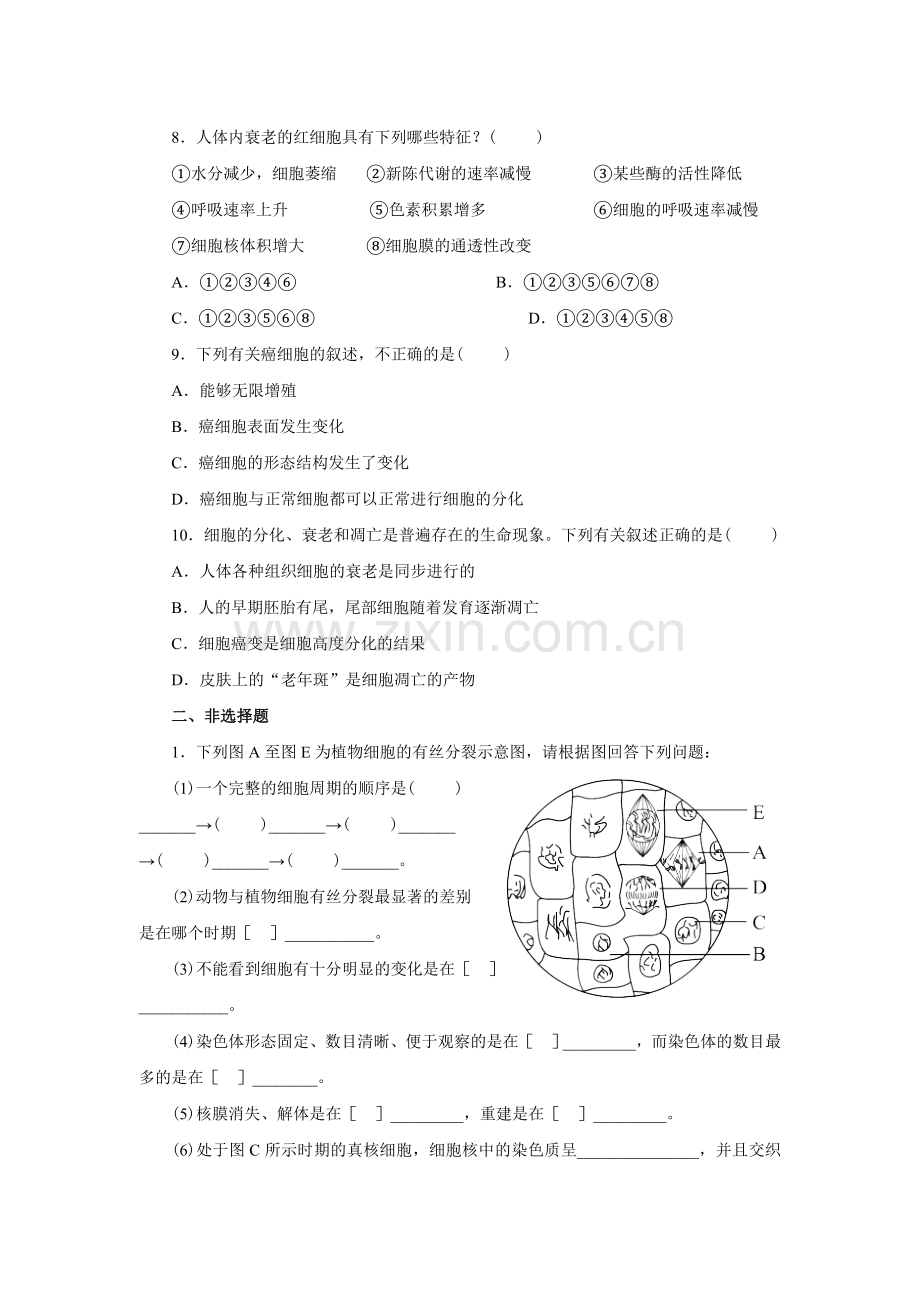 新课标人教版高中生物必修一分子与细胞教科书配套试题：第6章细胞的生命历程(word版-含答案解析).doc_第2页