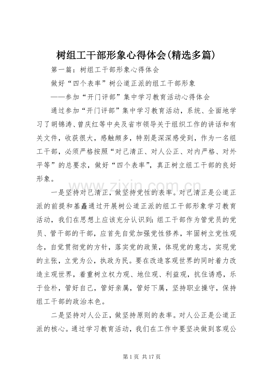 树组工干部形象心得体会(多篇).docx_第1页