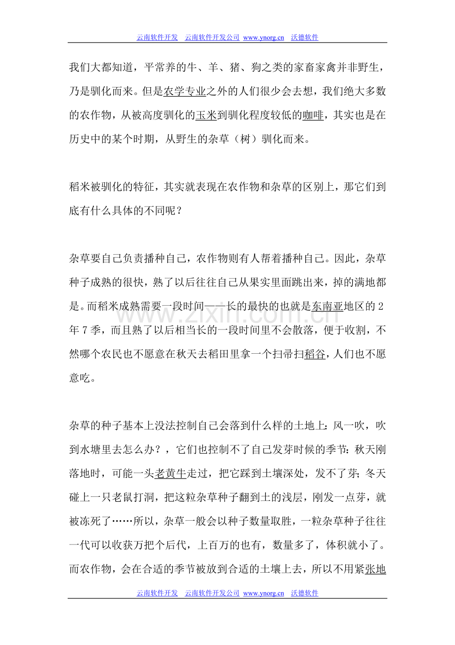 稻米是怎样被驯化的？.doc_第2页
