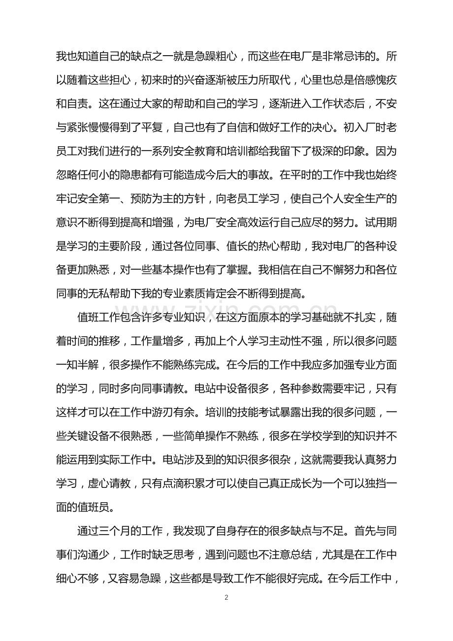 个人试用期主要工作总结.doc_第2页