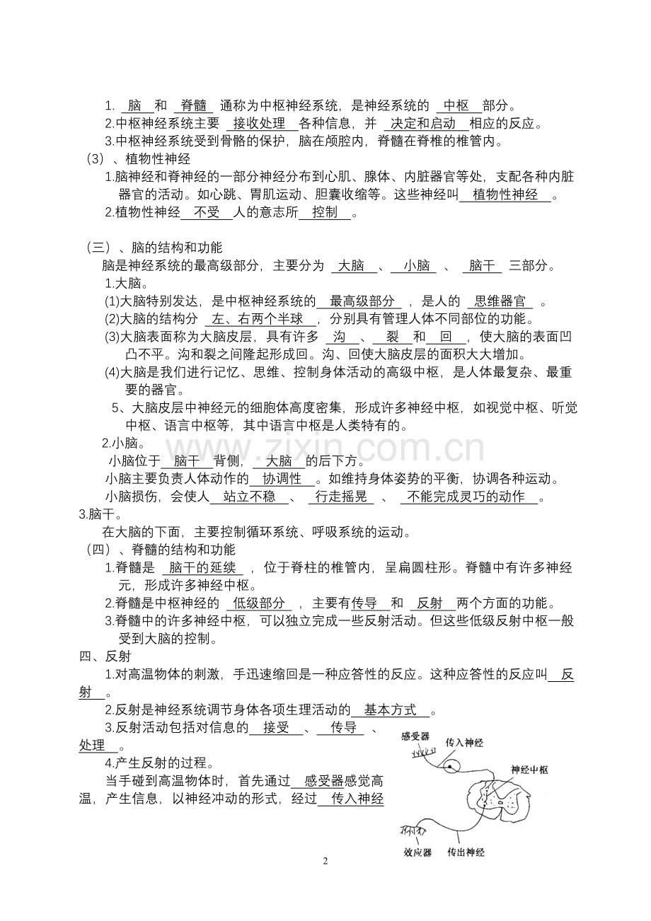 神经调节和体温调节讲义.doc_第2页
