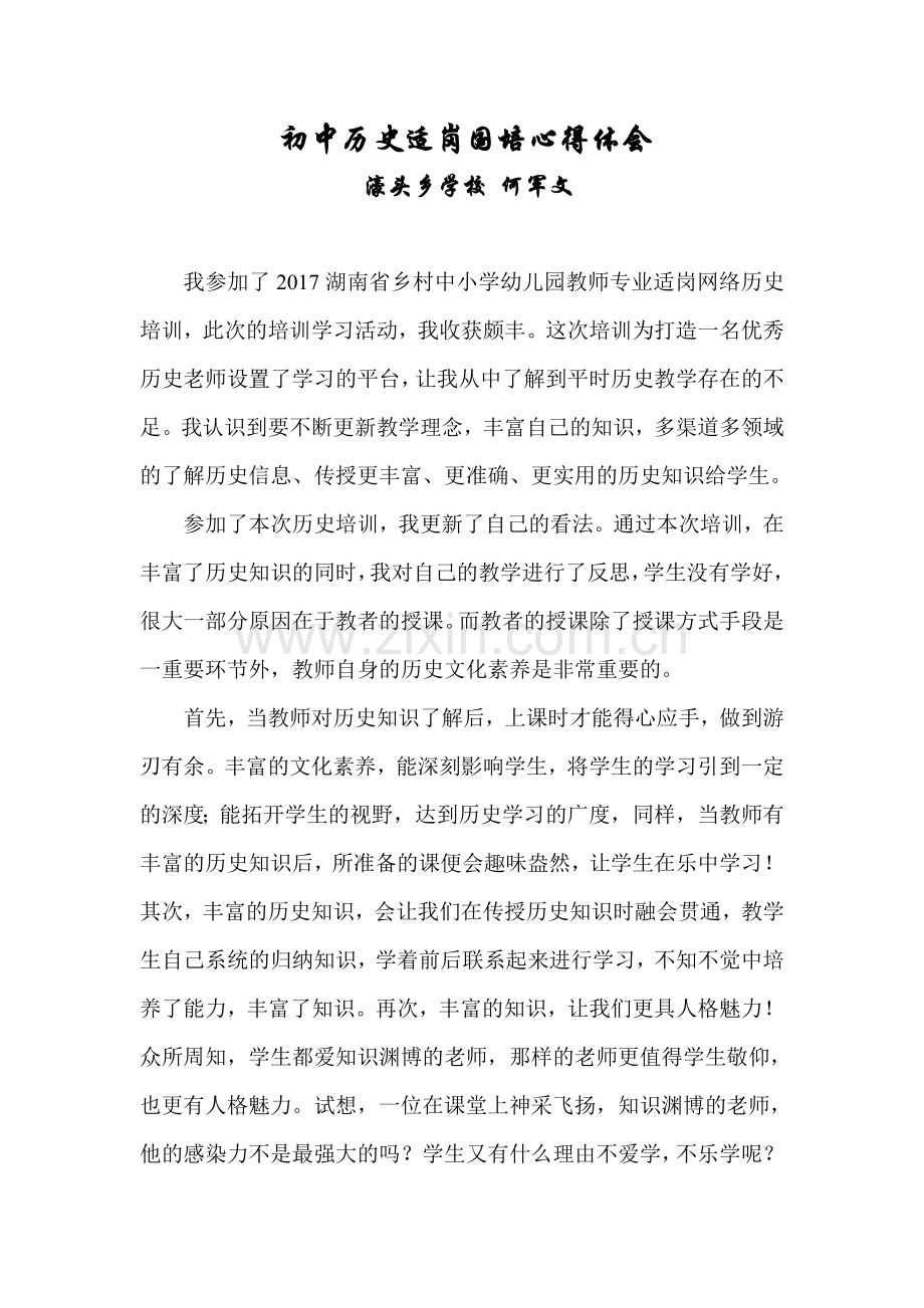 初中历史适岗国培心得体会.doc_第1页